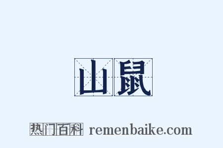山鼠是什么意思的图片